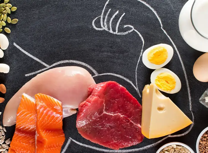 लीन प्रोटीन