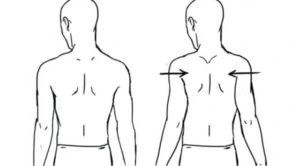 Scapular-Retraction