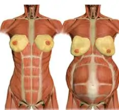 प्रसवोत्तर (Post-Natal) रिकवरी: पेट की मांसपेशियों को वापस कैसे लाएं