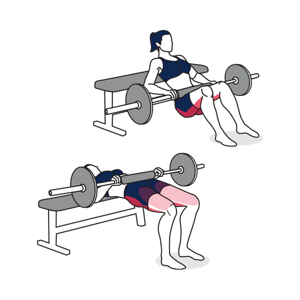 Hip Thrust