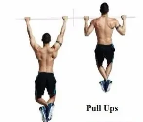 स्कैपुलर पुल-अप्स (Scapular Pull-Ups)