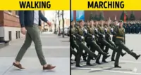 Walking and Marching