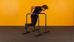 डिप्स (Parallel Bar Dips)