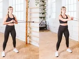 पेलॉफ प्रेस (Pallof Press)