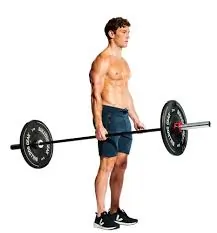 सूटकेस कैरी (Suitcase Carry)