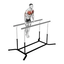स्ट्रेट बार डिप (Straight Bar Dip)