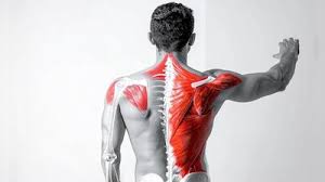 आईटी प्रोफेशनल्स: दिन भर माउस पकड़ने से होने वाली 'माउस शोल्डर' की समस्या