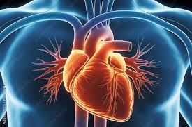 ओपन हार्ट सर्जरी (CABG) के बाद कार्डियक रिहैबिलिटेशन (Cardiac Rehab) का महत्व