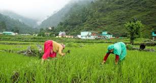 खेतों में या शारीरिक मेहनत का काम करने वाले किसानों के लिए कमर दर्द से बचाव के उपाय