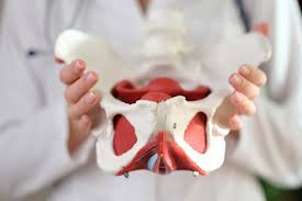 पेल्विक ऑर्गन प्रोलैप्स (Pelvic Organ Prolapse): महिलाओं में इस छुपी हुई समस्या का बिना सर्जरी इलाज