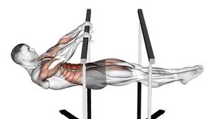 फ्रंट लीवर (Front Lever)