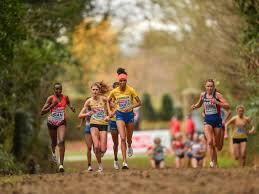 रनर्स के लिए क्रॉस-ट्रेनिंग: दौड़ने के अलावा कौन से व्यायाम आपको बेहतर धावक बनाएंगे?