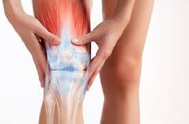 विटामिन सी और कोलेजन (Collagen): टेंडन और लिगामेंट की मजबूती के लिए डाइट