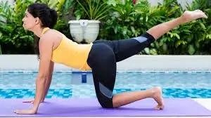 हिप ओपनर स्विंग