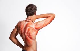 किसी भी बड़ी सर्जरी के बाद बेड-रेस्ट के दौरान होने वाली मसल एट्रोफी (मांसपेशी सूखना) से बचाव