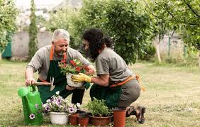 गार्डनिंग (बागवानी) का शौक: गमले उठाते समय और मिट्टी खोदते समय सही पोस्चर