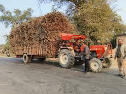 ग्रामीण सड़कों पर ट्रैक्टर या भारी वाहन चलाने वाले किसानों के लिए स्पाइन शॉक एब्जॉर्प्शन