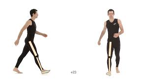 चलने का सही तरीका (Gait Cycle): एड़ी पहले जमीन पर आनी चाहिए या पंजा? विज्ञान क्या कहता है?