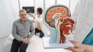 ब्रेन ट्यूमर सर्जरी के बाद न्यूरो-रिहैबिलिटेशन और गतिशीलता का महत्व