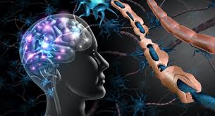 मल्टीपल स्केलेरोसिस (MS): मांसपेशियों की कमजोरी रोकने के लिए जरूरी फिजियोथेरेपी