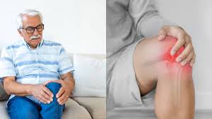 सर्दियों में 'कचर्यु' (Kachariyu) खाने से जोड़ों की चिकनाई (Synovial Fluid) पर क्या वैज्ञानिक असर होता है?