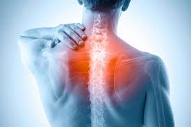 स्पाइनल कॉर्ड इंजरी (रीढ़ की हड्डी की चोट) के बाद रिहैबिलिटेशन के विभिन्न चरण