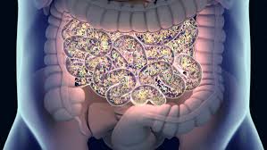 आंतों का स्वास्थ्य (Gut Microbiome) और रूमेटाइड अर्थराइटिस (गठिया): क्या आपका पेट आपके जोड़ों के दर्द का कारण है?