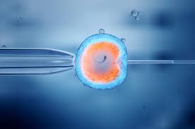 आईवीएफ (IVF) उपचार के दौरान पेल्विक ब्लड फ्लो बढ़ाने और तनाव कम करने वाले जेंटल व्यायाम