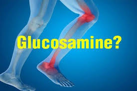 ग्लूकोसामाइन (Glucosamine) क्या यह सप्लीमेंट सच में घिसे हुए घुटनों का कार्टिलेज (Cartilage) वापस बनाता है?