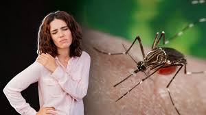 डेंगू और चिकनगुनिया के बाद जोड़ों का भयंकर दर्द (Post-Viral Arthritis): रिकवरी में फिजियोथेरेपी की भूमिका