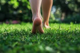 नंगे पैर चलना (Earthing/Grounding) घास या मिट्टी पर नंगे पैर चलने का विज्ञान और मस्कुलर लाभ।