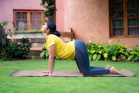 मार्जरी आसन (Cat-Cow Pose) रीढ़ की हड्डी की गतिशीलता (Mobility) के लिए सबसे अच्छा व्यायाम।