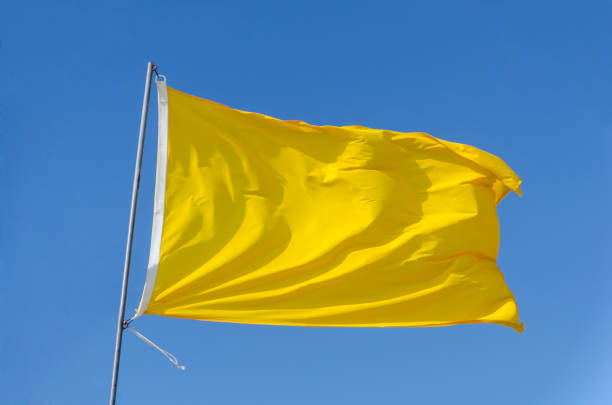 येलो फ्लैग्स (Yellow Flags) कैसे मरीज का डिप्रेशन या डर उसकी रिकवरी को धीमा कर रहा है।