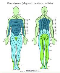 डर्मेटोम्स (Dermatomes) पैर के किस हिस्से में सुन्नपन है, इससे खुद जानें कि कमर की कौन सी नस दबी है (L4, L5 या S1)।