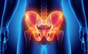 पुडेंडल नर्व (Pudendal Nerve) घंटों तक साइकिल चलाने वालों में पेल्विक एरिया (निचले हिस्से) का सुन्न होना।