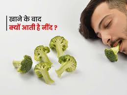 फूड कोमा (Food Coma) भारी लंच के बाद ऑफिस में आने वाले आलस को 5 मिनट की मोबिलिटी वॉक से कैसे भगाएं।