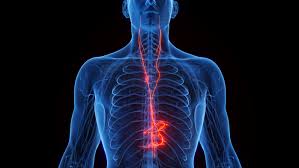 वेगस नर्व (Vagus Nerve) स्टिमुलेशन गर्दन के हल्के व्यायाम और डीप ब्रीदिंग से मानसिक तनाव कैसे कम करें।