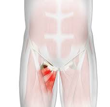 स्पोर्ट्स हर्निया (Athletic Pubalgia) निचले पेट और कमर के जोड़ों के बीच होने वाले छिपे हुए दर्द की पहचान।