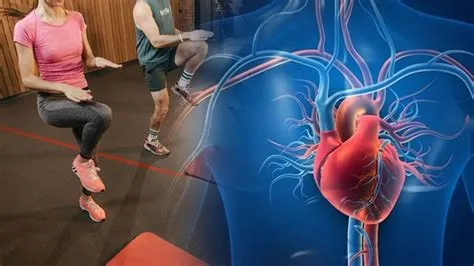 क्या रोजाना कार्डियो (Cardio) करने से मसल्स कम हो जाते हैं? वैज्ञानिक विश्लेषण
