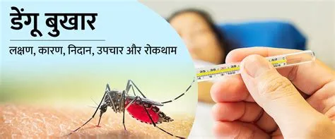 डेंगू बुखार (Dengue Fever)